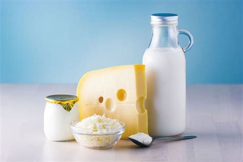 Kosher Dairy Products, Kosher Milk | HolonFoods.com.com - Kosher Food ...