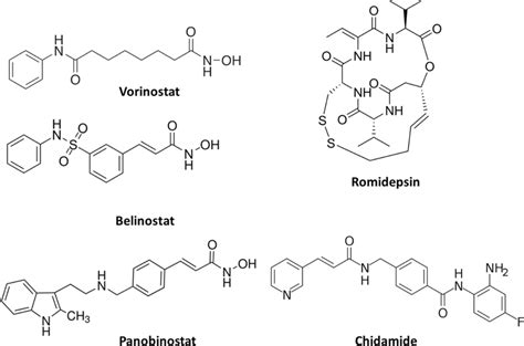 Structures of the marketed HDAC inhibitors | Download Scientific Diagram