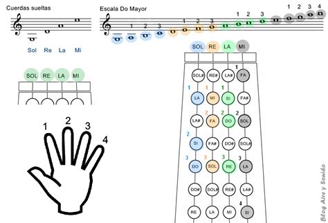 Pin by Sergio Jurado on Instruments | Violin, Violin fingering chart, Learn violin