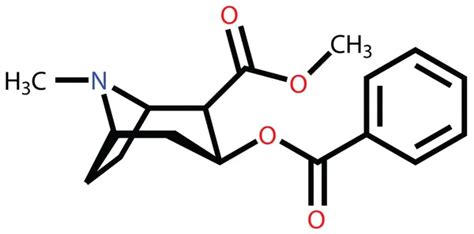 Cocaine structural formula — Stock Vector © Leonid_Andronov #12100810