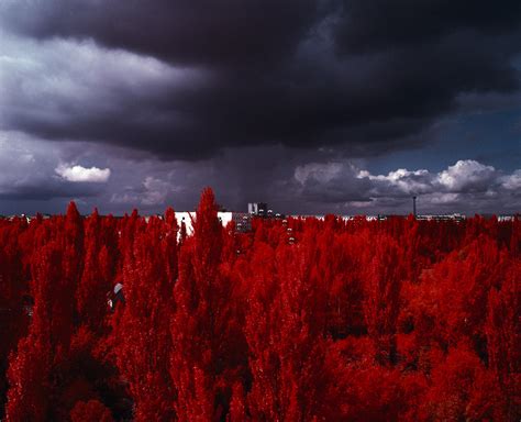 The Unseen: infrared photographs of the invisible - Creative Review