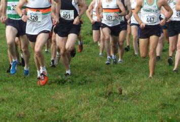 Running in Munster, Ireland: Results of the Munster Senior Cross Country Championships...Sun ...