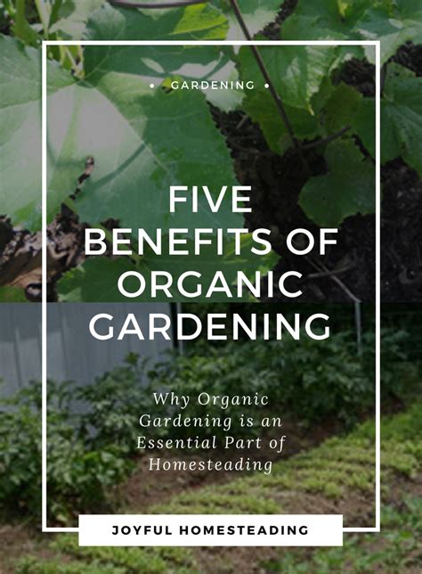 Benefits to Organic Gardening