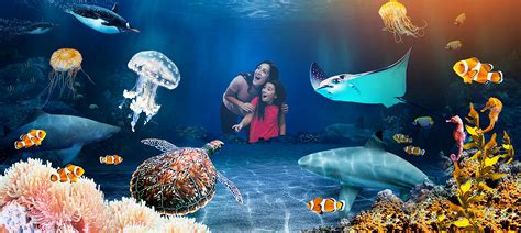 Plan a Visit | National SEA LIFE Centre Birmingham Aquarium