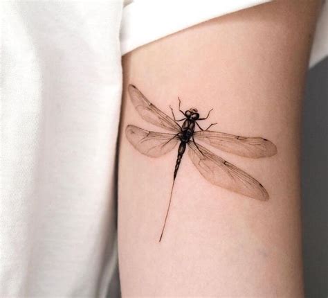 20 Dragonfly Tattoo Ideas for Women - Mom's Got the Stuff