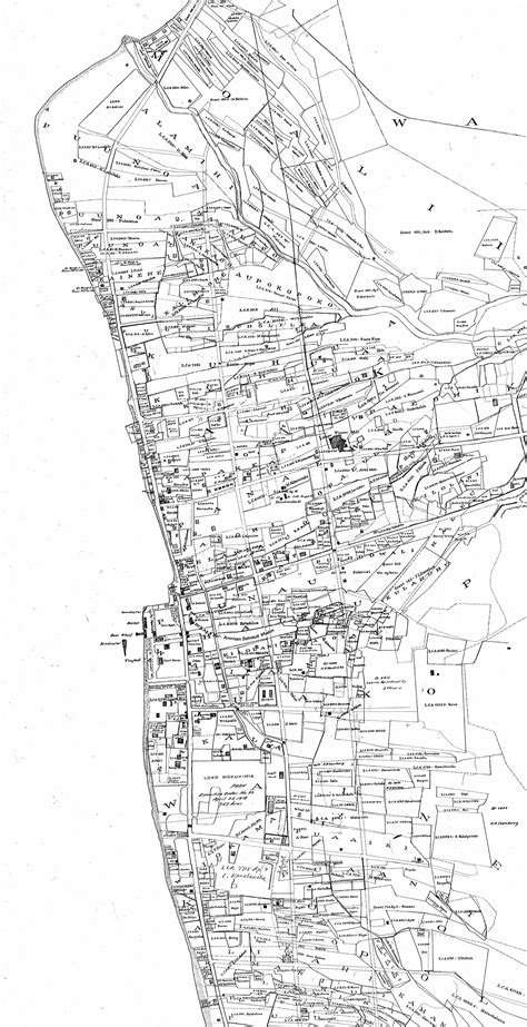 Lahaina_Town-Map-Bishop-Reg1262-1884-portion | Hoʻokuleana LLC