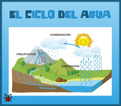 EXPERIMENTO: nuestro propio CICLO DEL AGUA