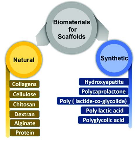 Classification of biomaterials for scaffolds fabrications. | Download Scientific Diagram