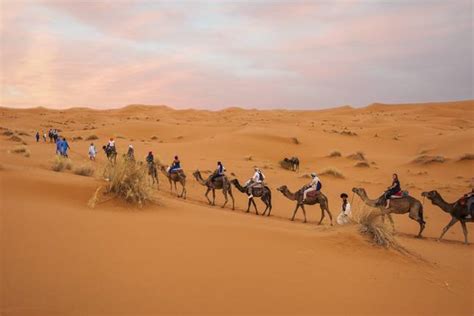 10 Best Sahara Desert Hiking & Trekking Tours 2024/2025 - TourRadar