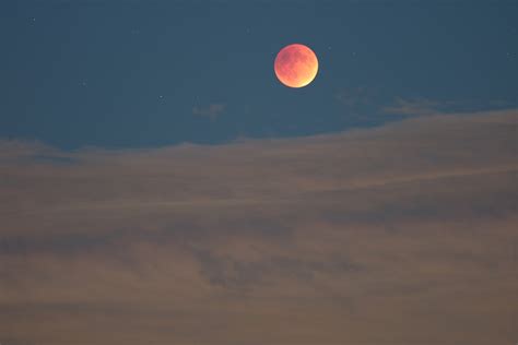 Harvest Moon Lunar Eclipse | Carl Alexander