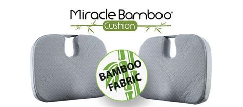 Miracle Bamboo Cushion – TV Shop