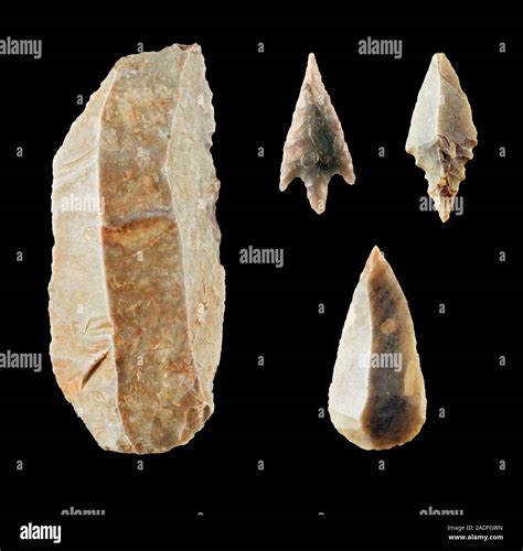 Neolithic flint tools. Collection of Saharan neolithic tools consisting ...