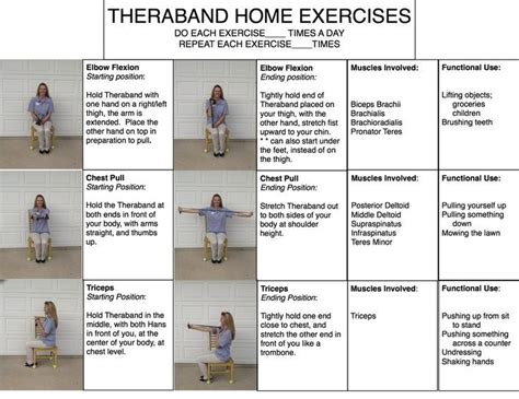 Upper Body Theraband Exercises For Seniors – Online degrees