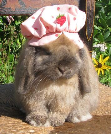 Twitter Dream Flower Bunny - BREWRY