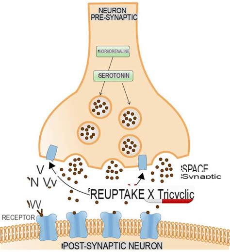 Tricyclic Antidepressants (TCAs) 🆙