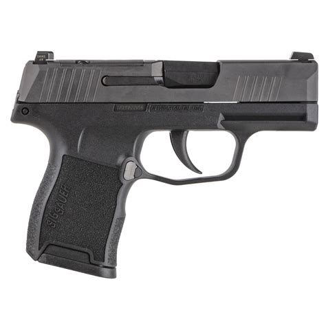 Sig Sauer P365 380ACP 3.1in Barrel 10+1 Round Capacity Night Sights ...