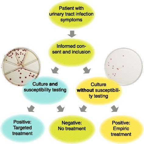 Flow-chart for data collection. POCT: Point of care test. This refers ...