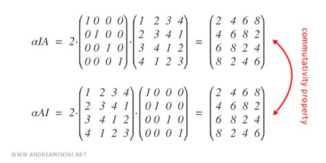 Scalar Matrix - Andrea Minini