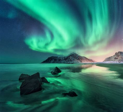 Aurora. Northern lights in Lofoten islands, Norway. Sky with polar lights, stars. Night winter ...