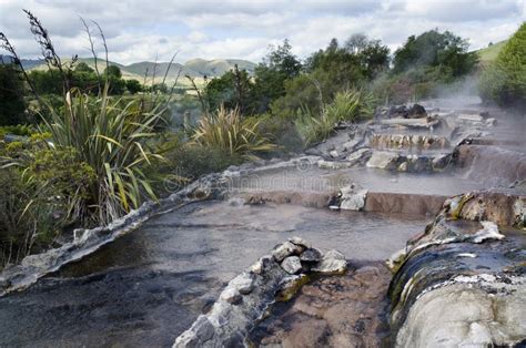 New Zealand Hot Spring and Spa Pool in Rotorua Stock Photo - Image of natural, beautiful: 23435018