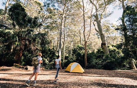 Best South Coast NSW campgrounds | NSW National Parks