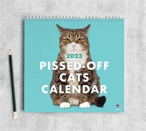 Funny Cat Calendar 2024 Printable - Templates Printable Free