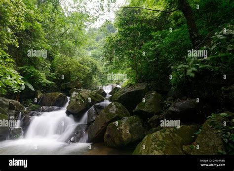 Mountain spring streams waterfall Stock Photo - Alamy