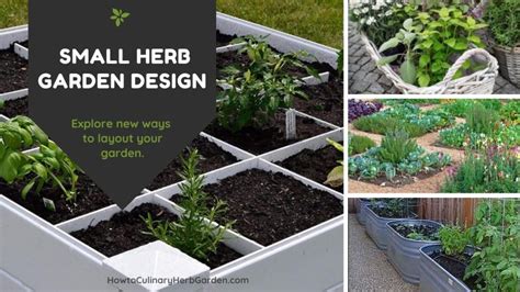 Popular Herb Garden Design Ideas for Small Spaces