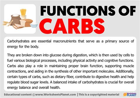 Function of Carbohydrates