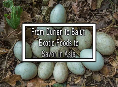 From Durian to Balut Exotic Foods to Savor in Asia