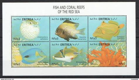 Eritrea Fauna Marine Life Fish & Coral Reefs Of The Red Sea 1Kb ...