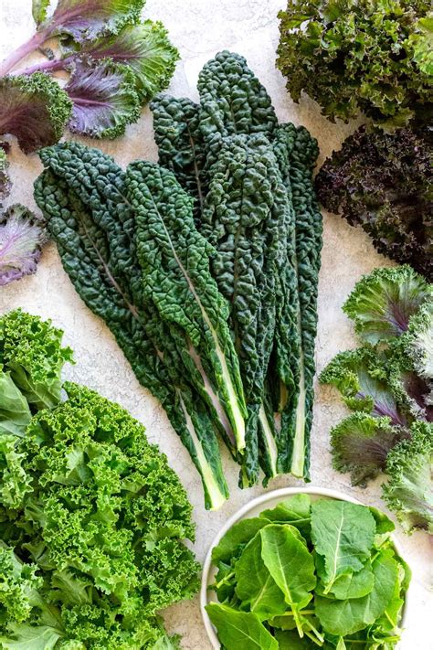 Kale 101: Health Benefits & Types | Types of kale, Kale benefits, Kale