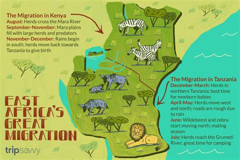 How to Experience the Great Migration in Kenya and Tanzania