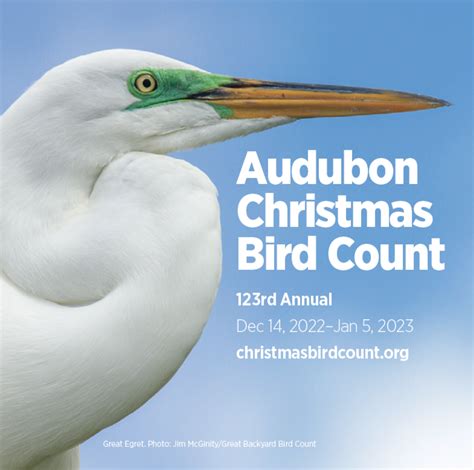 Count Birds for Science during Audubon’s 123rd Annual Christmas Bird Count | Audubon Florida