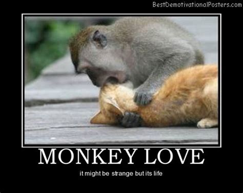 Monkey Love Quotes. QuotesGram