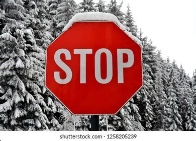 Stop Sign Covered Snow Stock Photo 1258205239 | Shutterstock