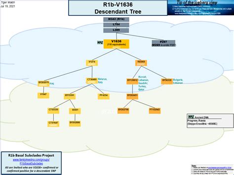 R1b Basal Subclades - Results - FamilyTreeDNA