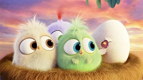 Hatchlings Angry Birds, HD Movies, 4k Wallpapers, Images, Backgrounds ...