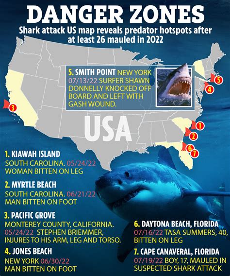 Boy, 17, mauled in shark capital of the world after dozens of attacks and sightings shut down ...