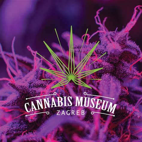 Cannabis Museum Zagreb