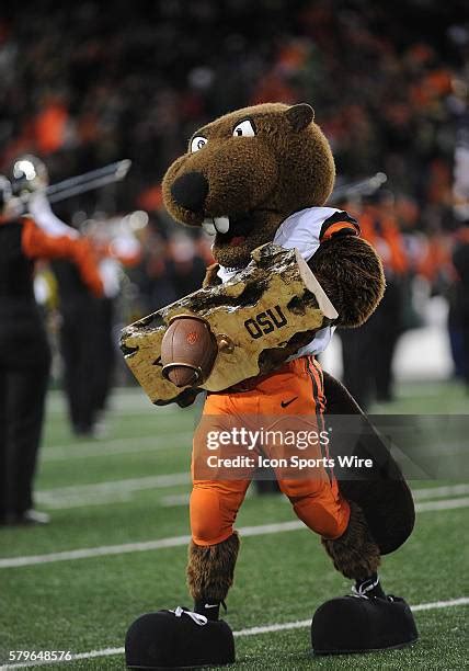 Benny Beaver Photos and Premium High Res Pictures - Getty Images