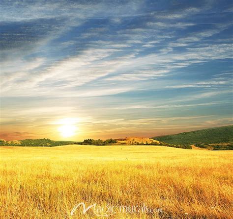 Country Sunrise Wallpaper Wall Mural by Magic Murals