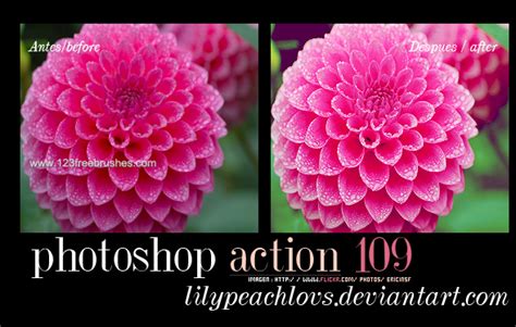 Photoshop Nature Flower Actions | 123Freebrushes