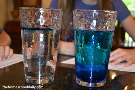 Salt Water Density Experiment - The Homeschool Daily