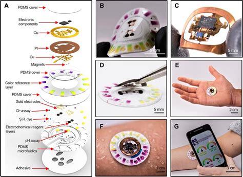 NFC-Powered Sweat Biosensor for Glucose and Lactate - Technical Articles