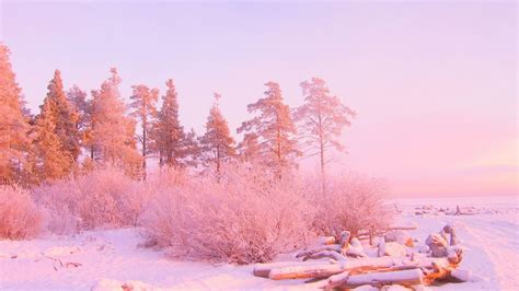 Download December Pink Winter Wonderland Wallpaper | Wallpapers.com