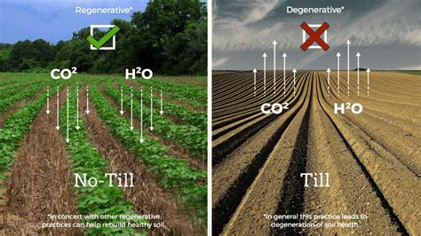 Regenerative Agriculture / Regenerative Farming - Go IT