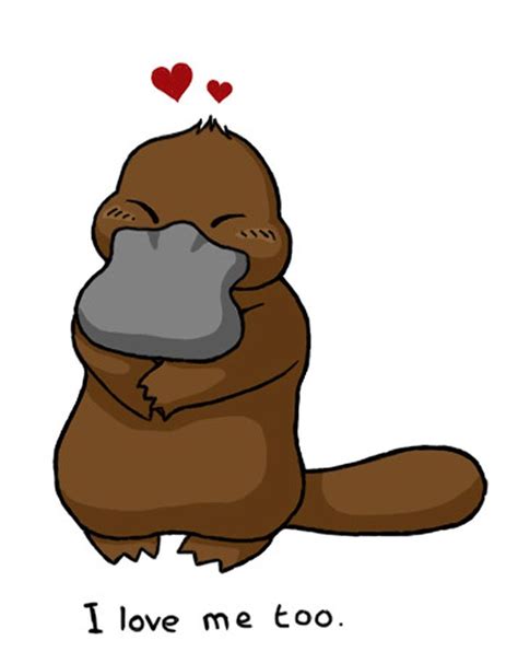 Hugging Drawing, Sloth Drawing, Baby Platypus, Duck Billed Platypus ...