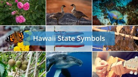 What are the Hawaii State Symbols? - Foreign USA