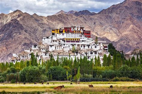 Mystical Thikse Monastery in Leh Ladakh, India: A Comprehensive Travel ...